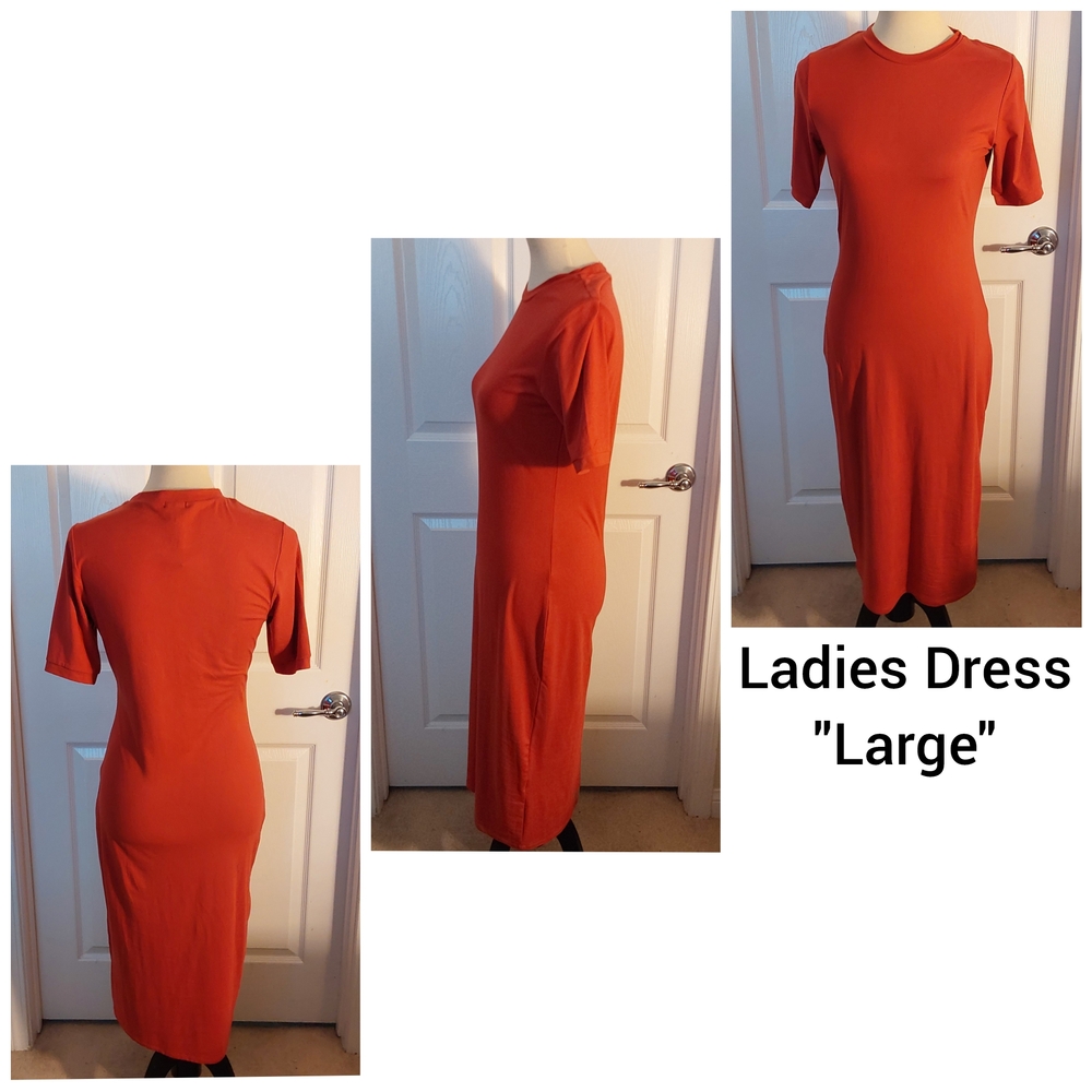 Ladies Dress (Large)